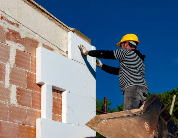 Best Specialized Insulation Services in Moville, IA